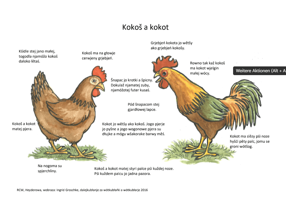 Huhn und Hahn