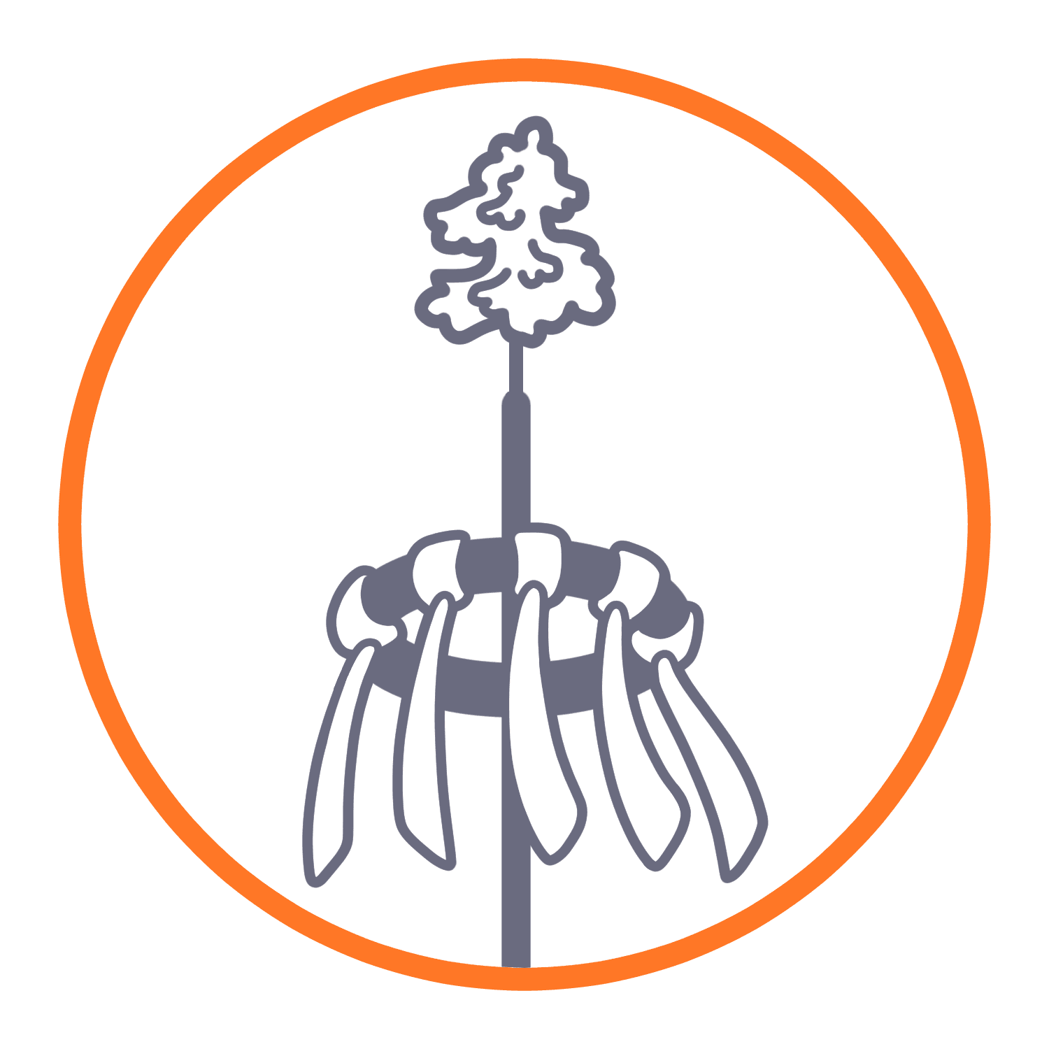 Maibaumstellen