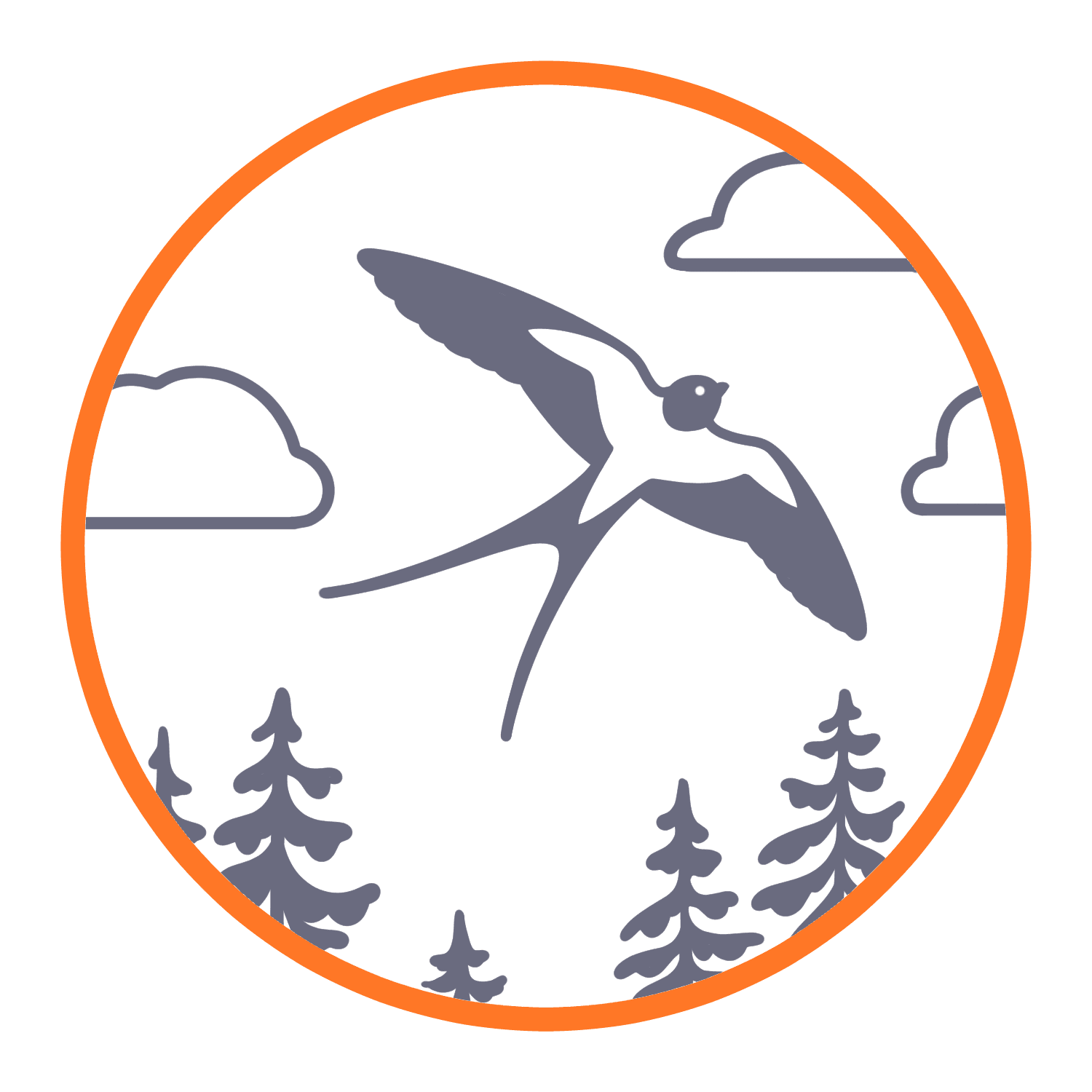Wie ein Vogel fliegen