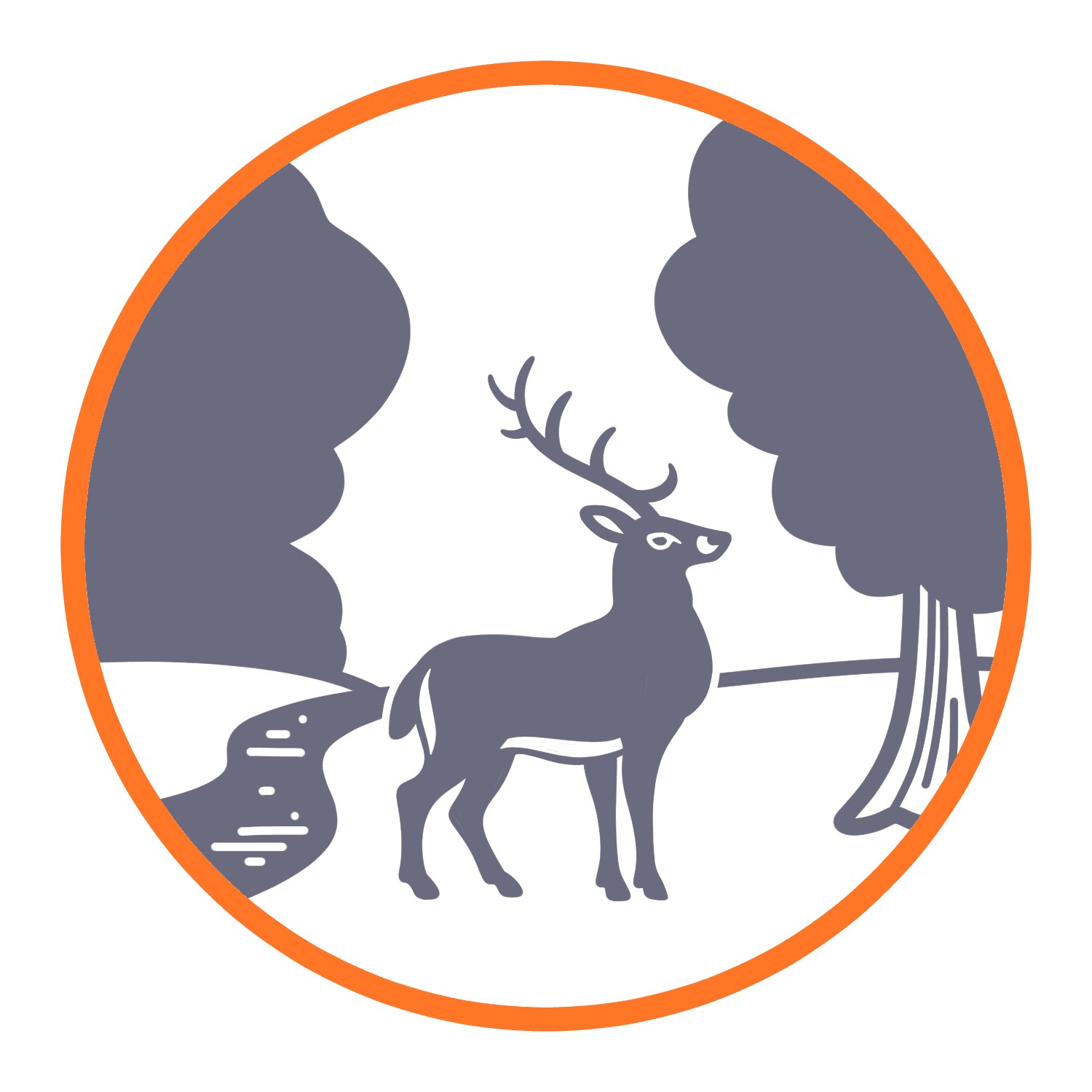 Käferlied